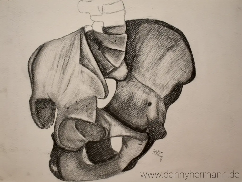 Anatomie-Studie Becken, Danny Hermann, Graphitstift auf Aquarellpapier, 2012